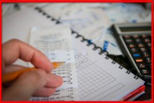 Formulario 206 Interactivo